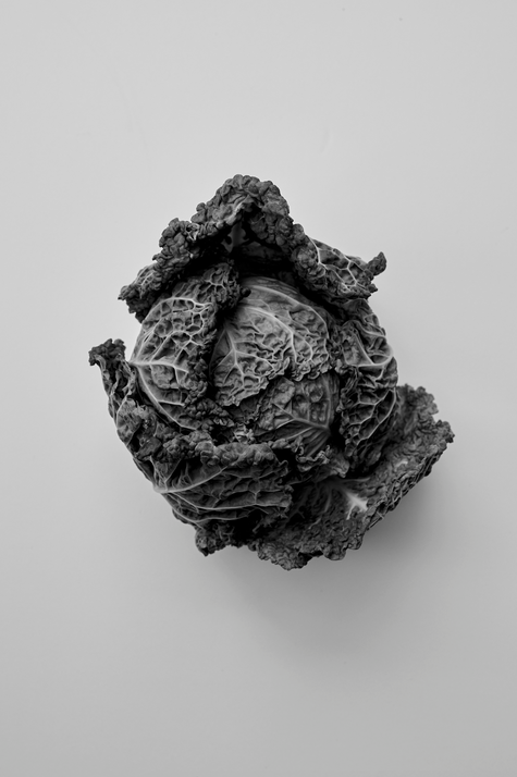 Róhe Cookbook | red