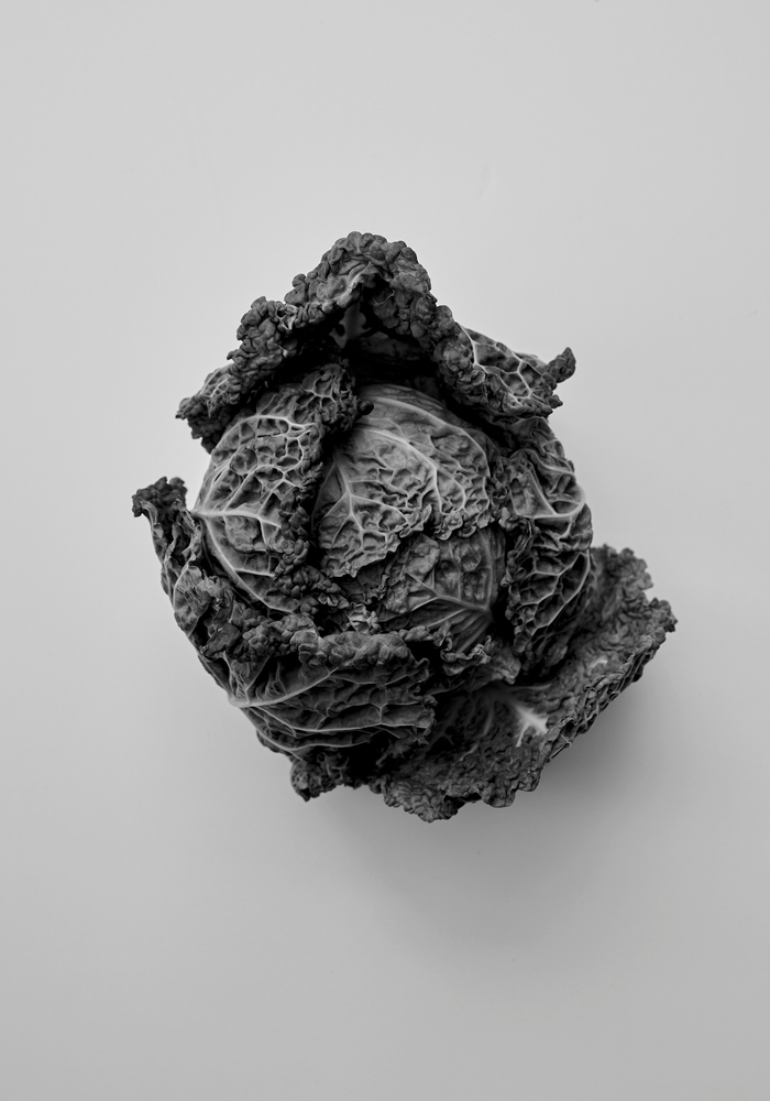 Róhe Cookbook | red