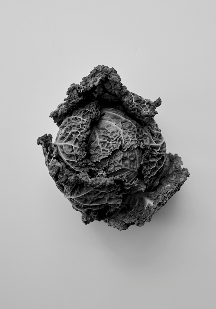 Róhe Cookbook | red