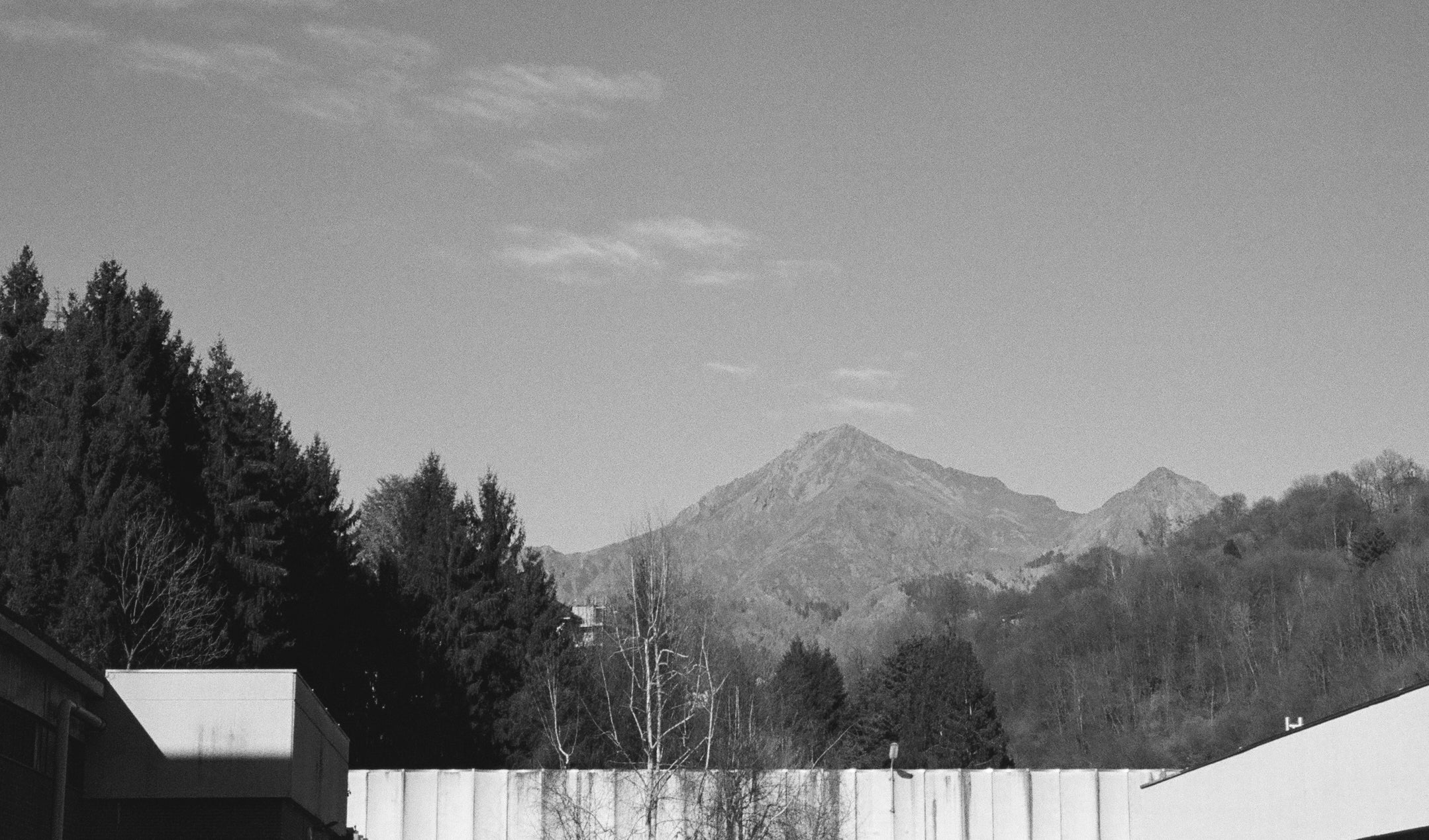 Black and white photo of mountains with trees and buildings in the foreground