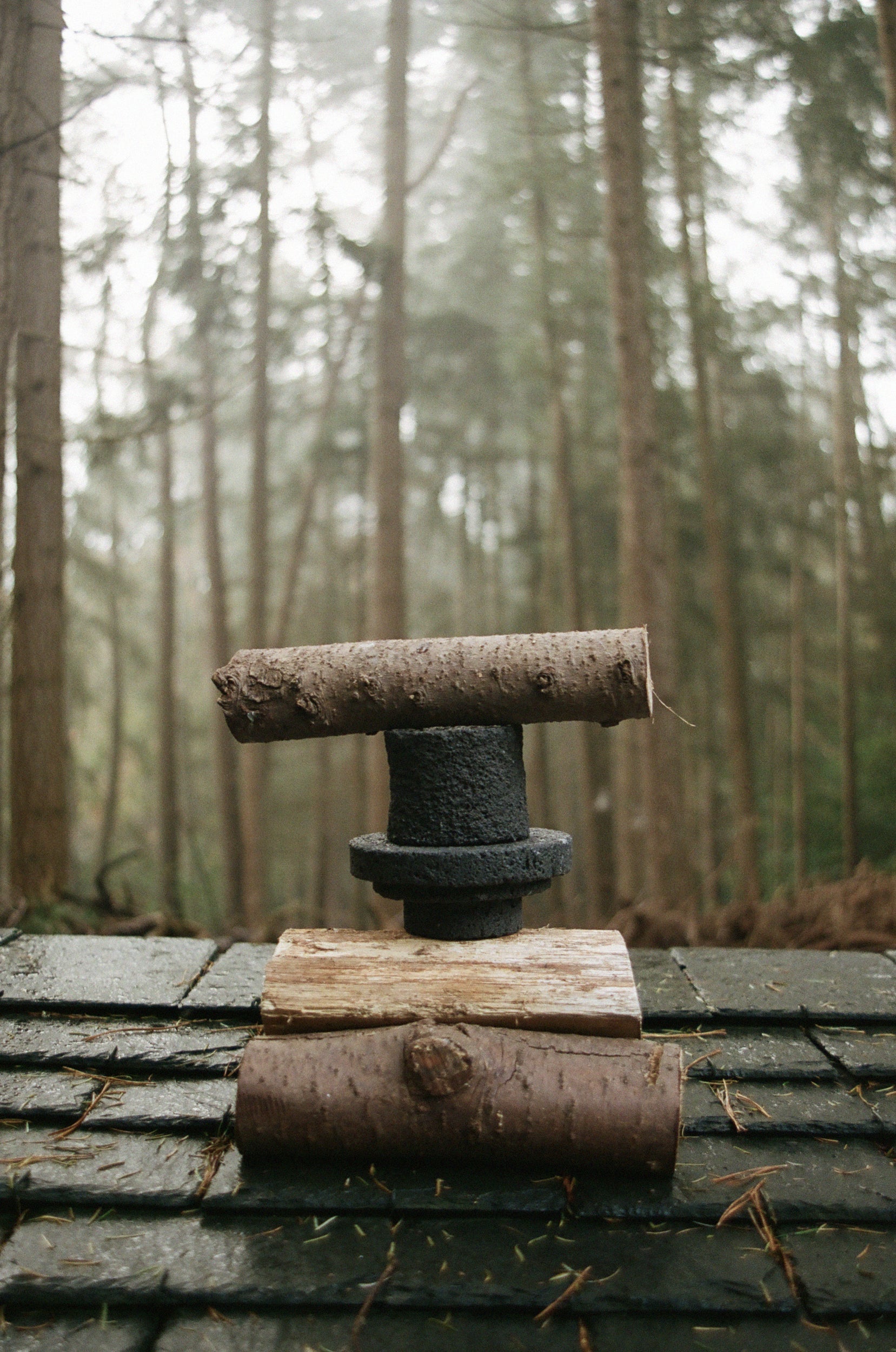 Stack of logs with a lava stone cylindrical object in a forest setting