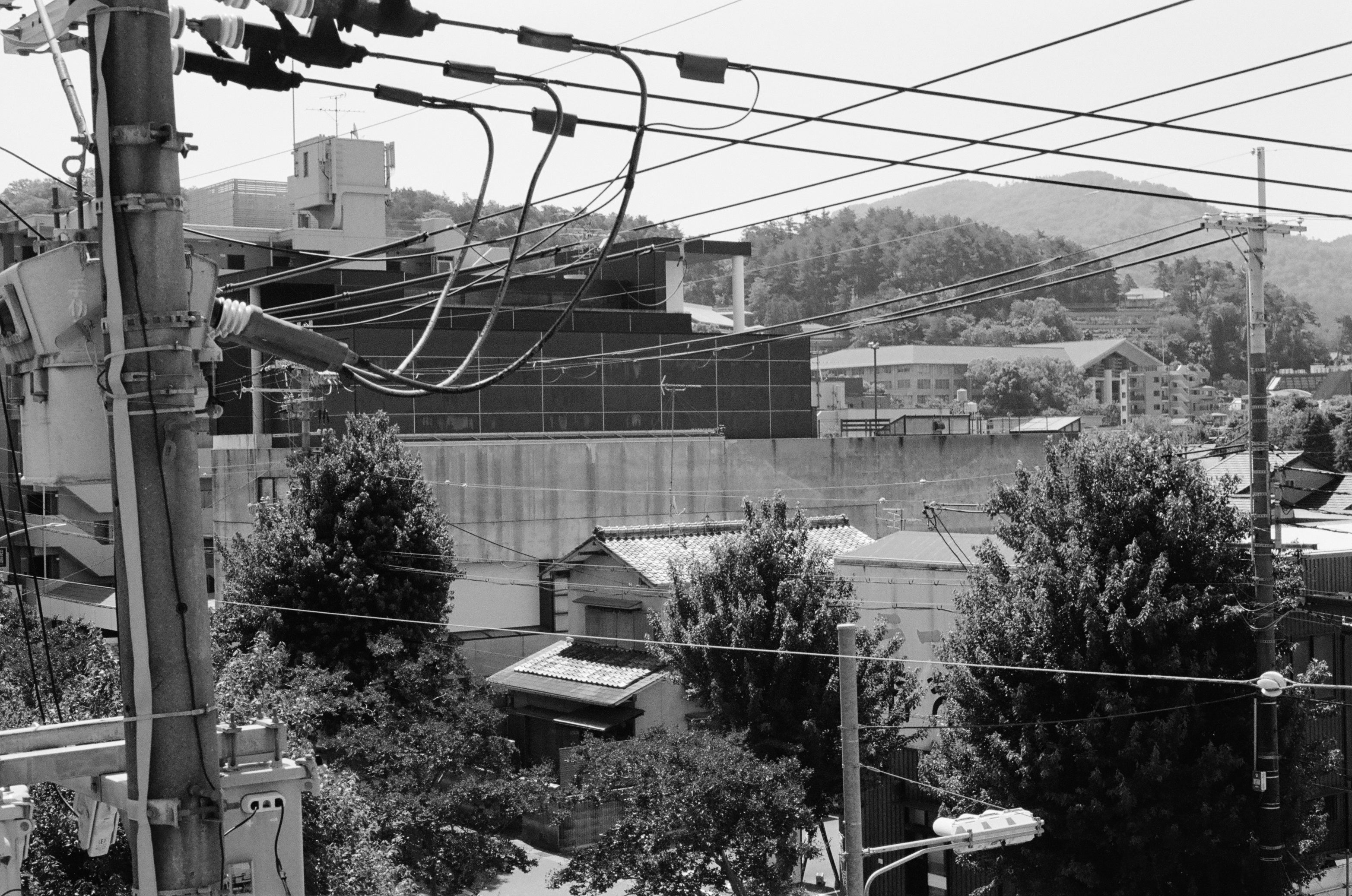 Black and white image of a street view in Kyoto with different buildings, trees and electricity cables