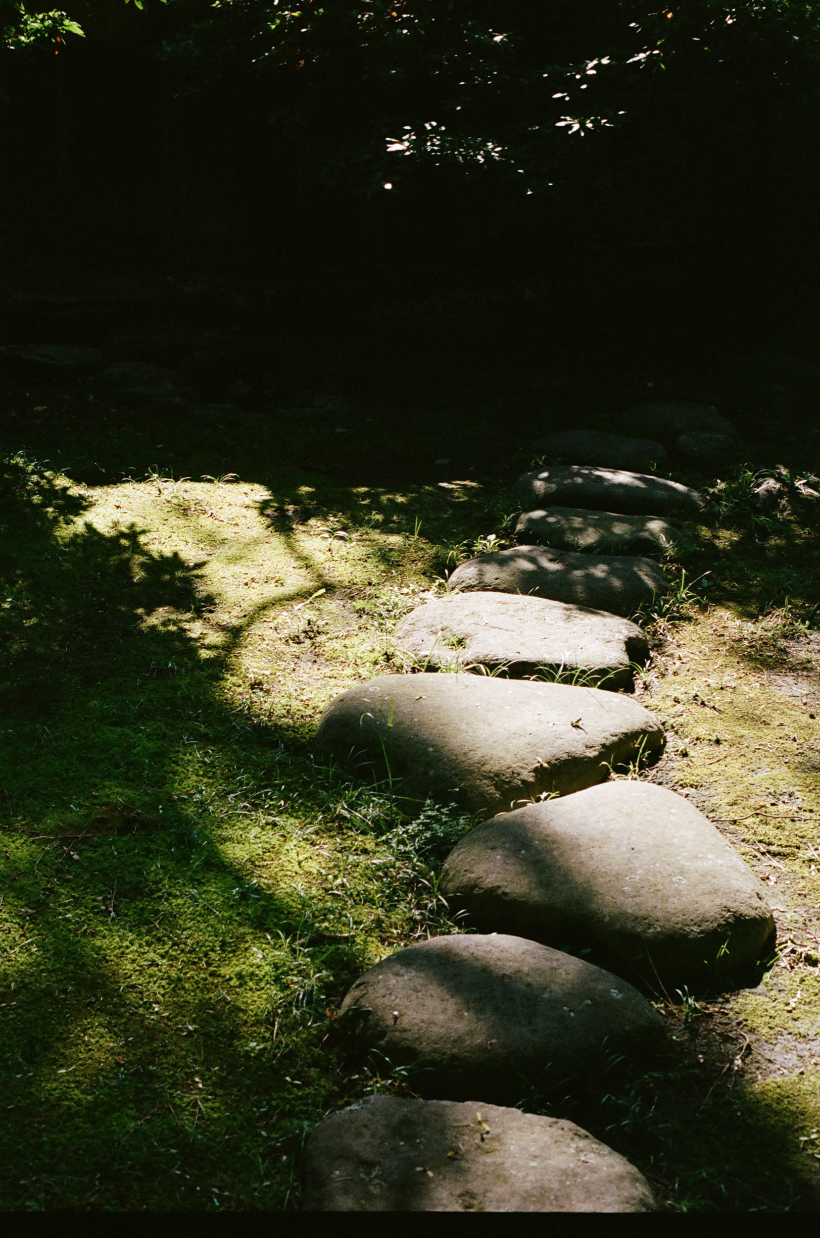 Pathway of big stones with moss surrounding it. 