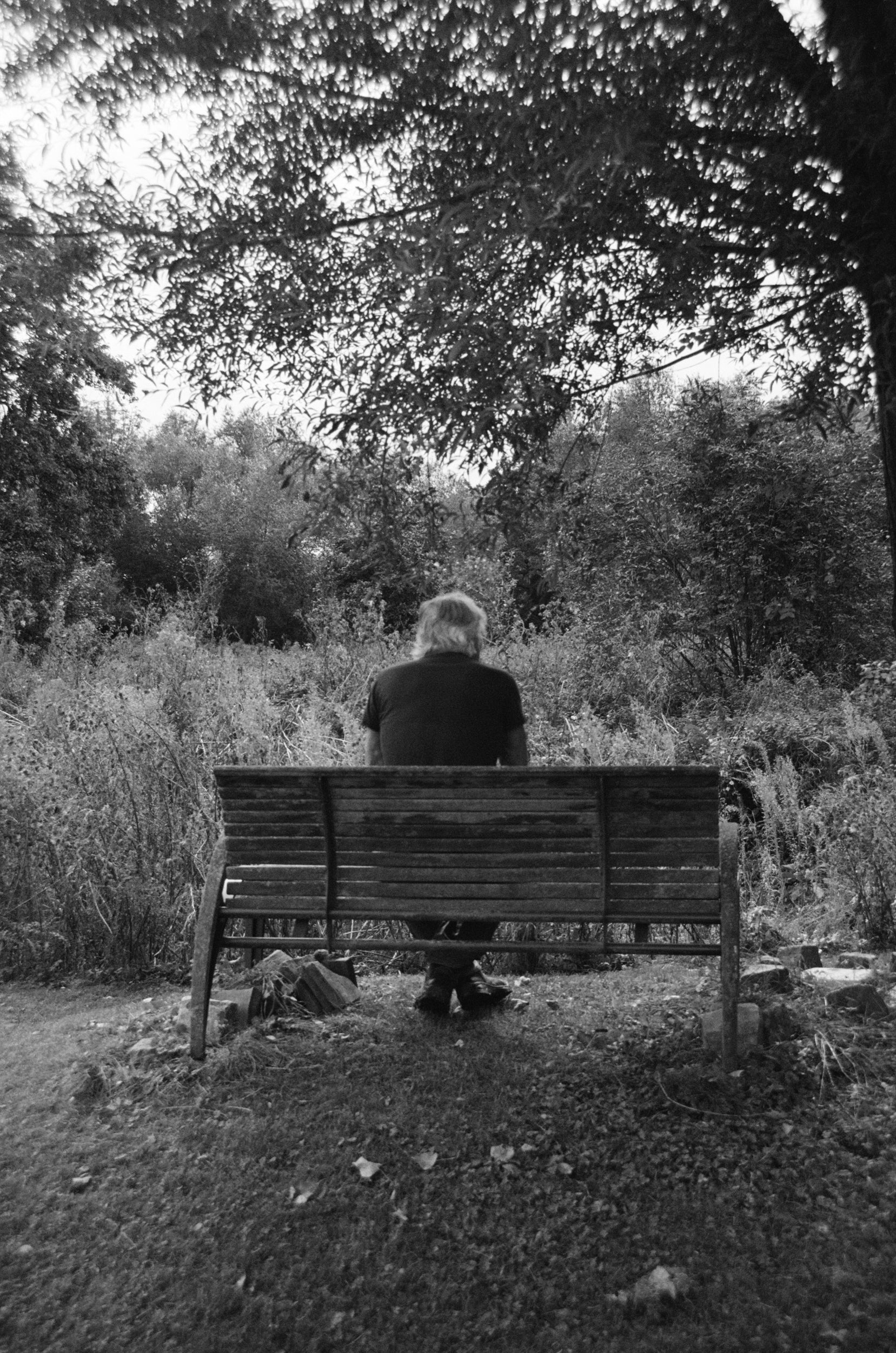 Man photographed from the back sitting on a wooden bench surrounded by trees and bushes