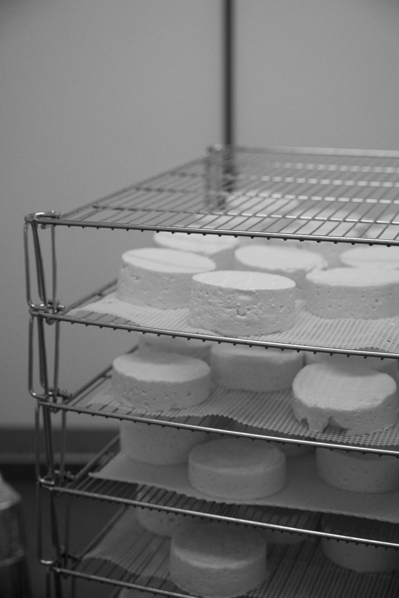 Soft round cheeses stacked on stainless steel racks 