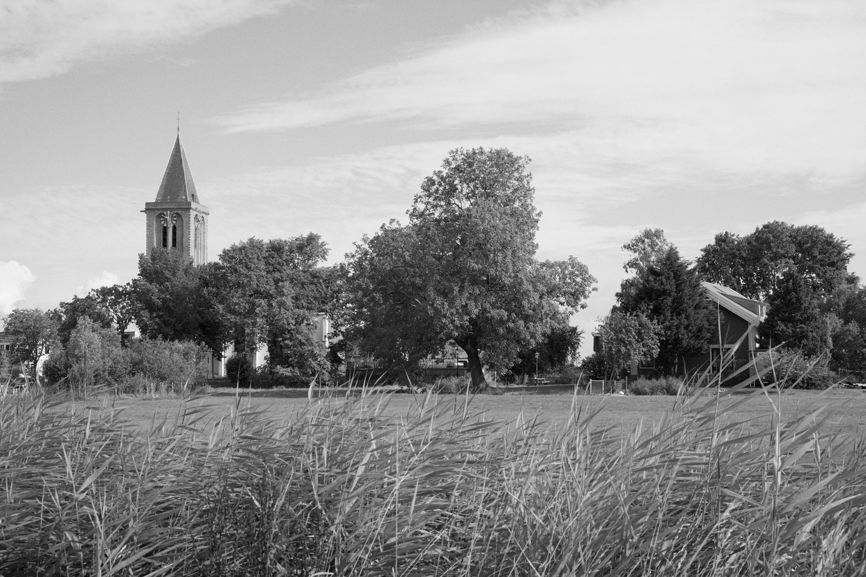 Black and white image of a field with trees and a church tower in the back 