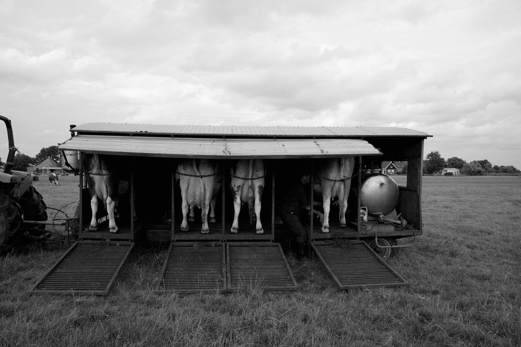 Milking machine in a field with cows in it