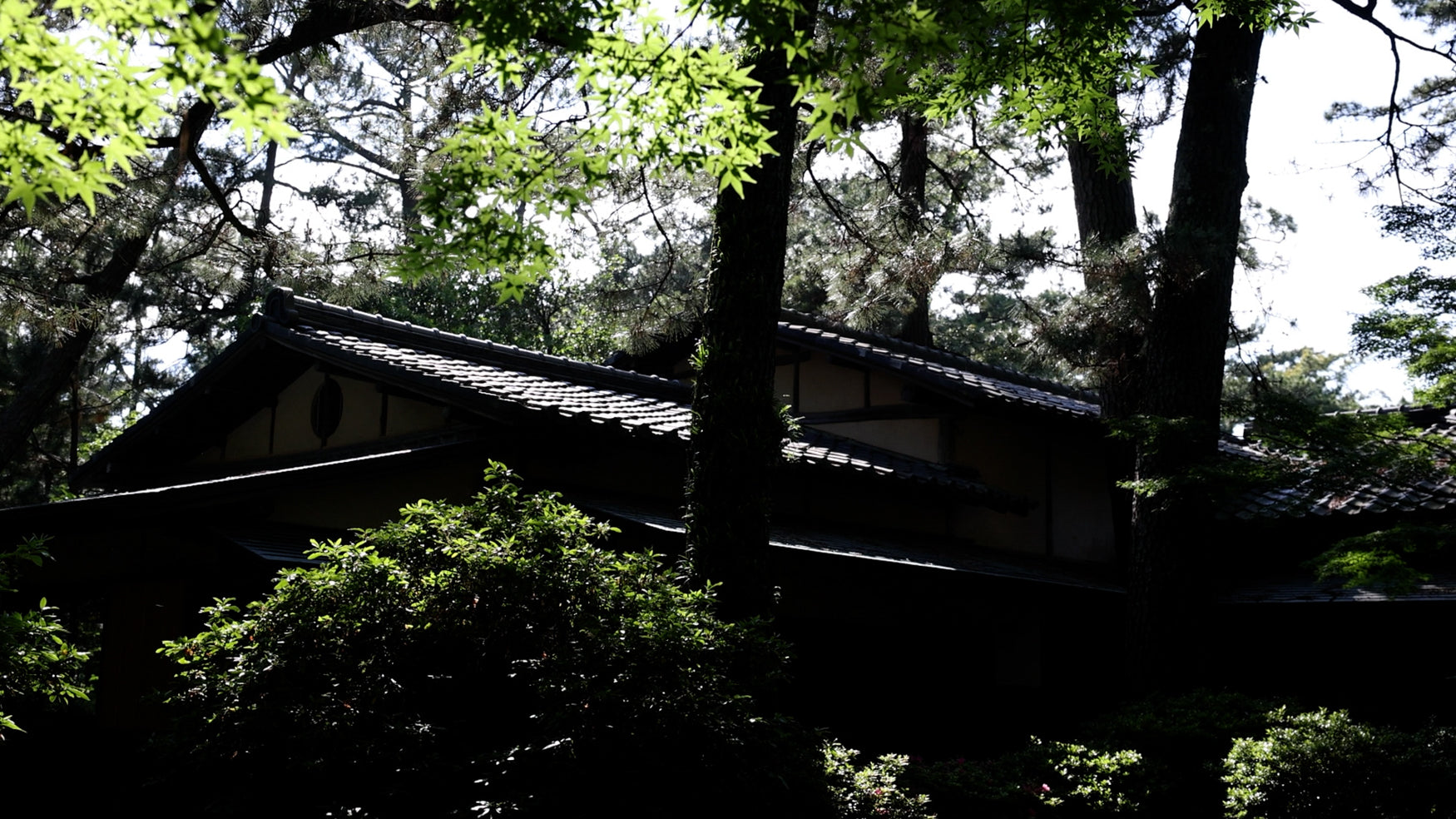 Roof of a Japanese teahouse surrounded by canopies. 