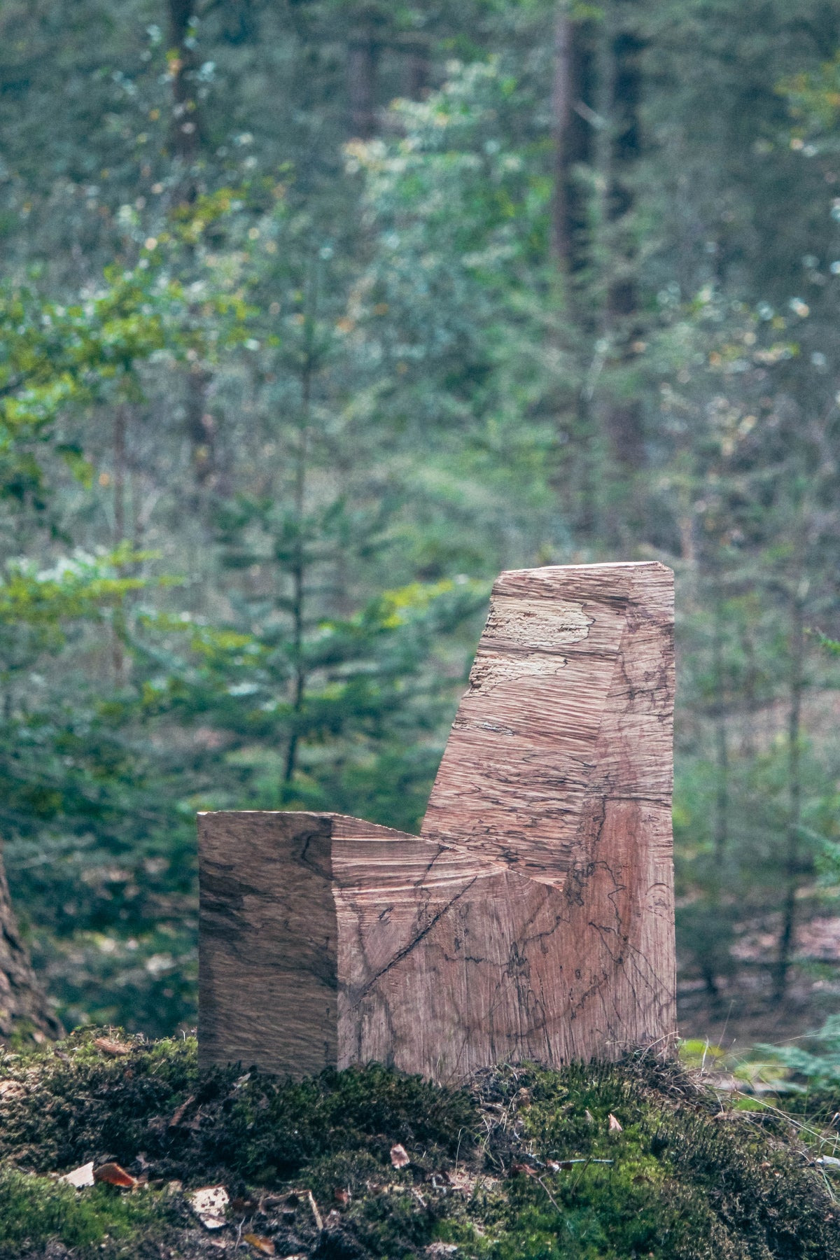 Brutalist Chair | 5788: A handcrafted oak wood chair with rough chainsaw cuts, set in a forest, highlighting its sculptural yet functional design.