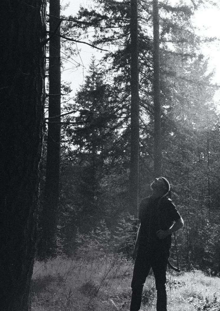 Person standing in a forest looking up with sunlight filtering through the trees