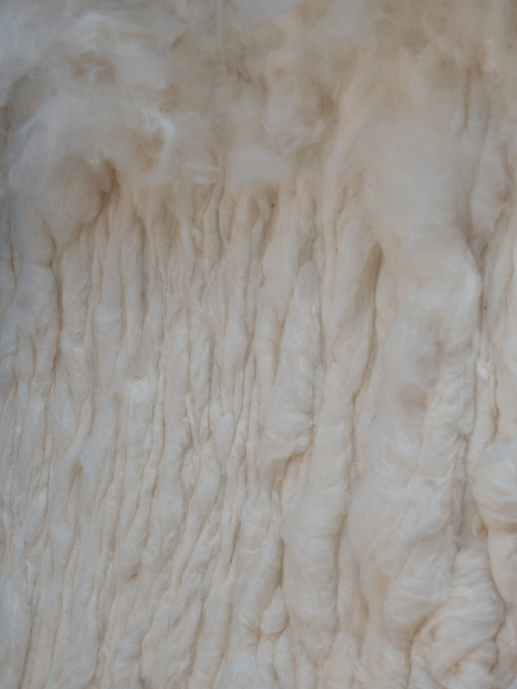 Close-up of cream wool fabric texture