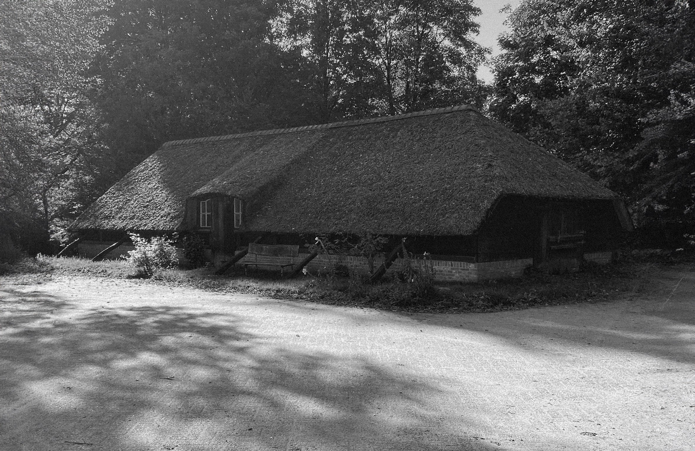 Black and white image of a shed with a straw roof in a forest setting 