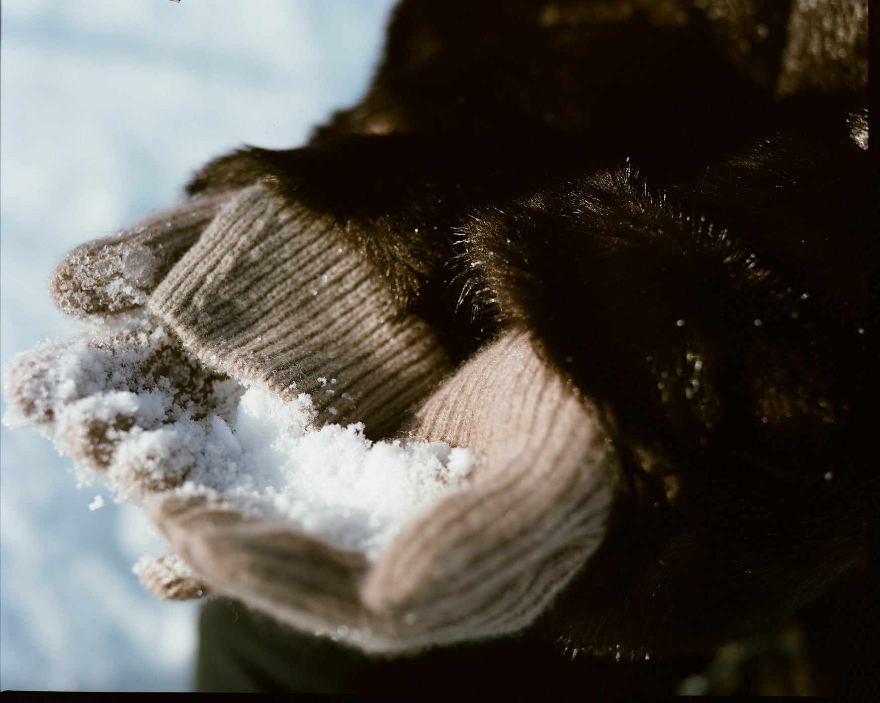 Close-up of a person wearing a dark brown fake fur coat, their hands with beige gloves holding snow 