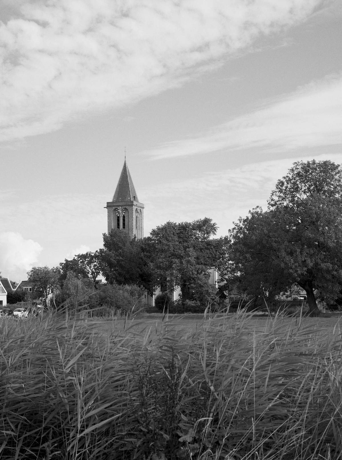 Black and white landscape featuring a tall church steeple rising above trees and houses, with grass and reeds in the foreground, accompanying the Róhe Cookbook | red.