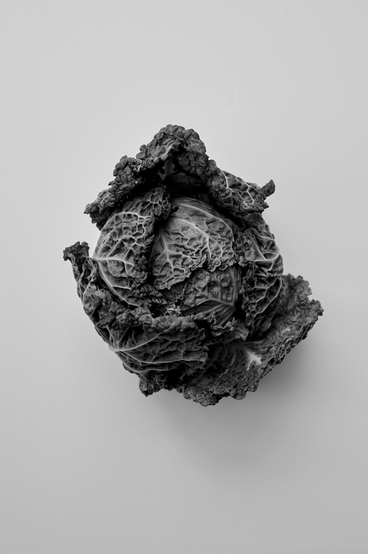 Black and white close-up of a textured leafy cabbage on a light background, styled for the Róhe Cookbook | red.